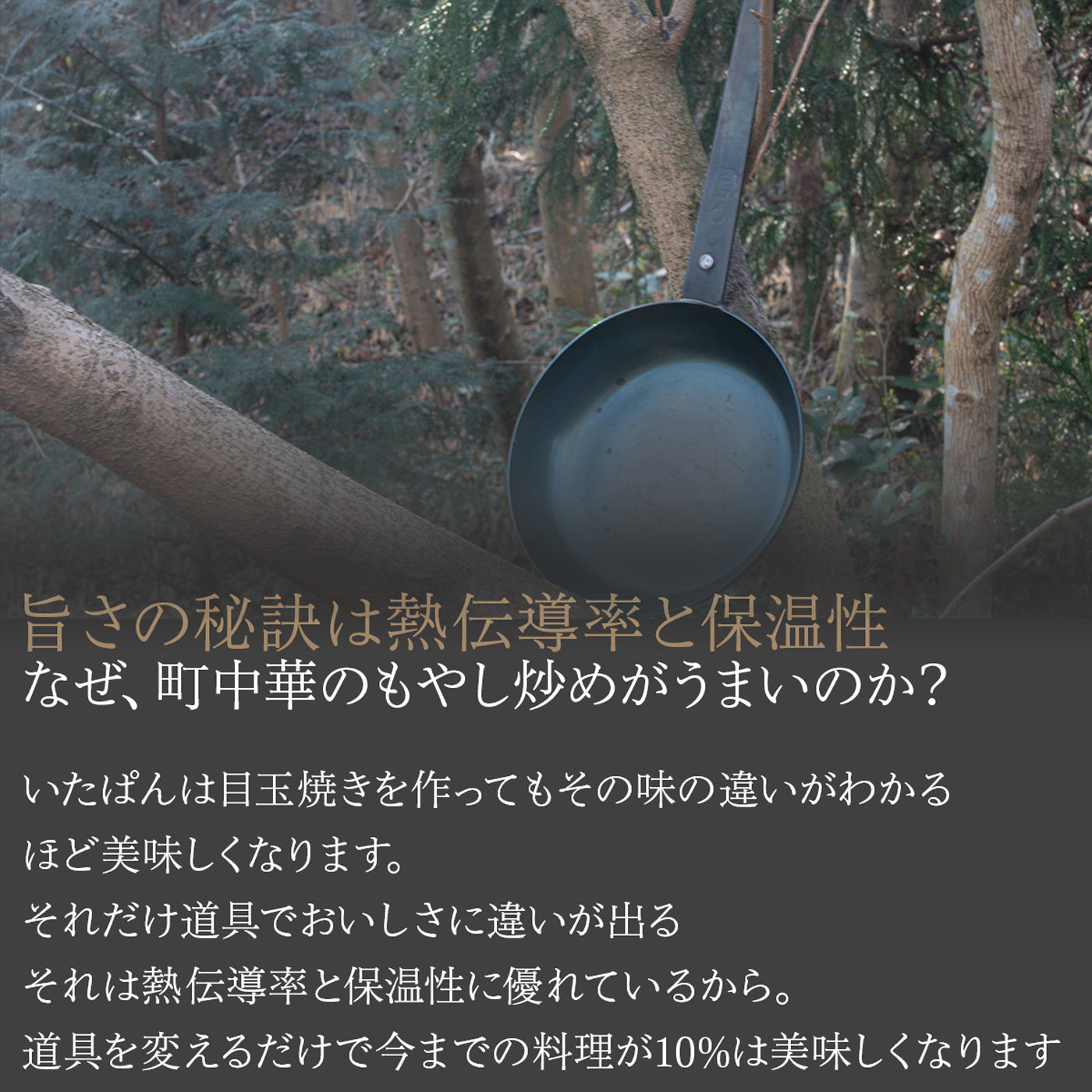 GOEN いたぱん 驚くほど美味しくなる 炒めるための鉄フライパン